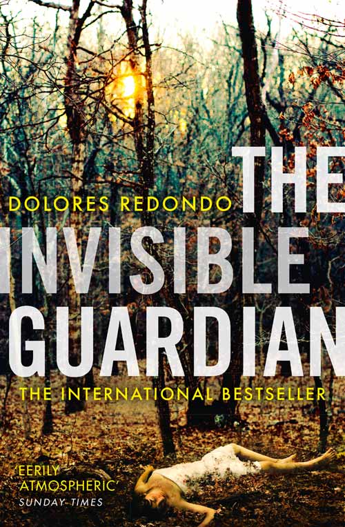 The Invisible Guardian- நாவல், திரையாக்கம், கொஞ்சம் திரைக்கதை- Baztan Triology பகுதி&nbsp;1